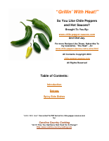 BBQ Grilling With Heat.pdf